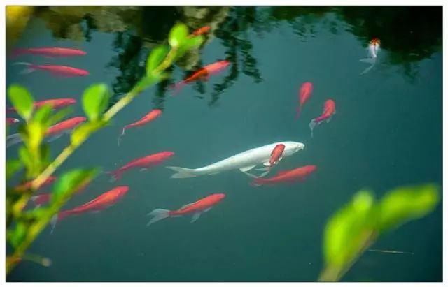 金利源，金利源凈水器，凈水器品牌，家用凈水器品牌，凈水器十大品牌，凈水器代理，凈水器加盟，凈水器廠家，凈水機(jī)，家用凈水器