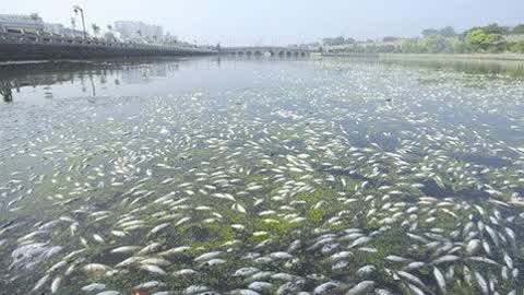 金利源，金利源凈水器，凈水器品牌，家用凈水器品牌，凈水器十大品牌，凈水器代理，凈水器加盟，凈水器廠家，凈水機(jī)，家用凈水器