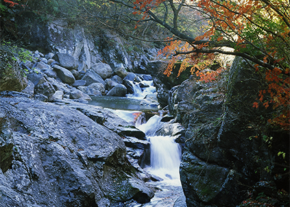 想買凈水器卻嫌安裝太復(fù)雜？凈水器哪個(gè)牌子好？