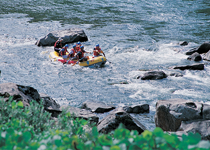凈水器品牌競爭加劇，行業(yè)面臨同質(zhì)化困境